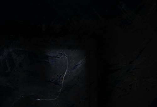 Optimum Nutrition Gold Standard Whey Proteinpulver, Double Rich Chocolate, 899g für optimale Muskelregeneration